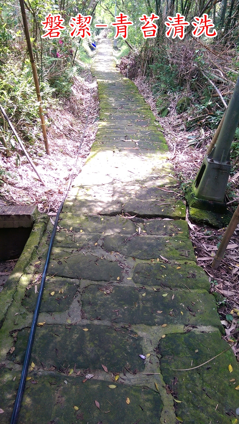 磐潔-登山步道-青苔清洗